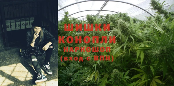 ПСИЛОЦИБИНОВЫЕ ГРИБЫ Абдулино
