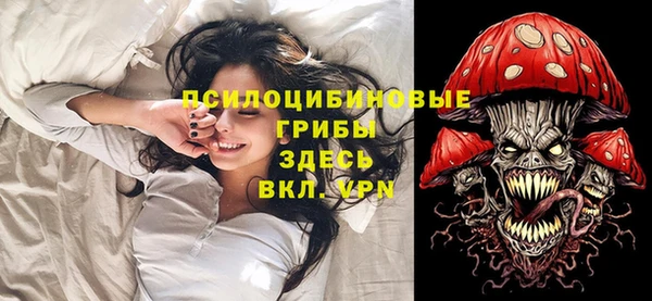 дмт Абаза