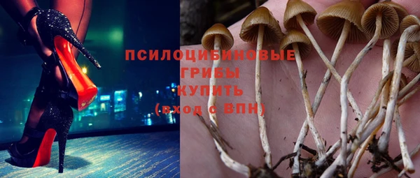 бошки Абинск