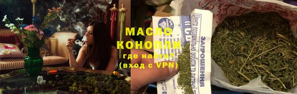 дмт Абаза