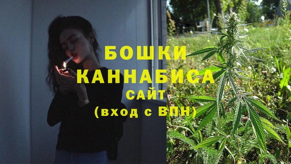 ПСИЛОЦИБИНОВЫЕ ГРИБЫ Абдулино
