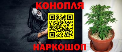шишки Когалым