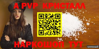 шишки Когалым