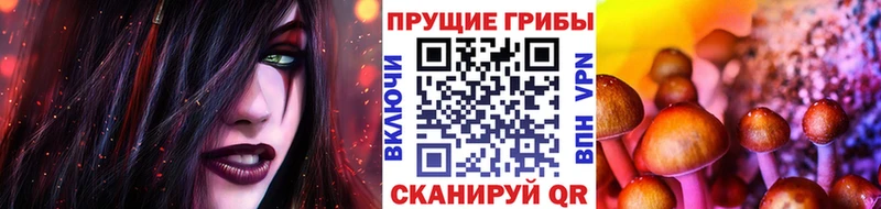 Псилоцибиновые грибы Psilocybine cubensis закладка Липецк