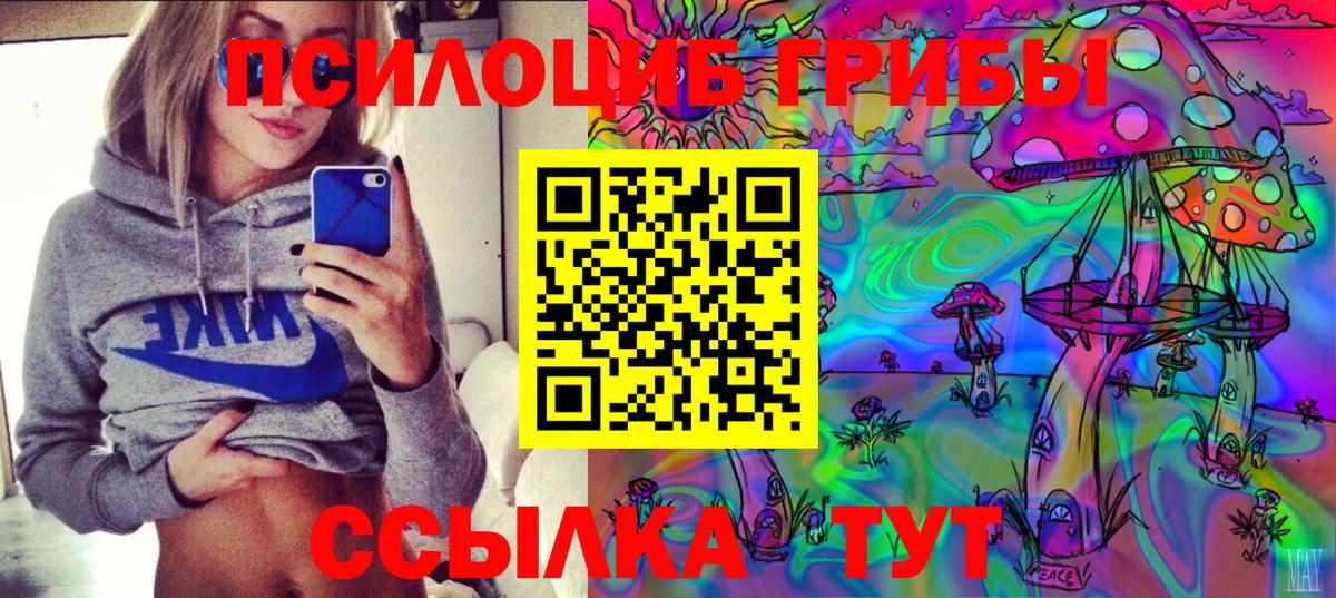 Псилоцибиновые грибы Psilocybine cubensis  Псилоцибиновые грибы ЛСД  Липецк  Вход с VPN 